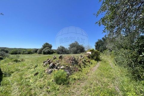 Helårsgrund i Silves, Faro, Silves - € 210.000 | Ref: 122001074-156 - foto 5