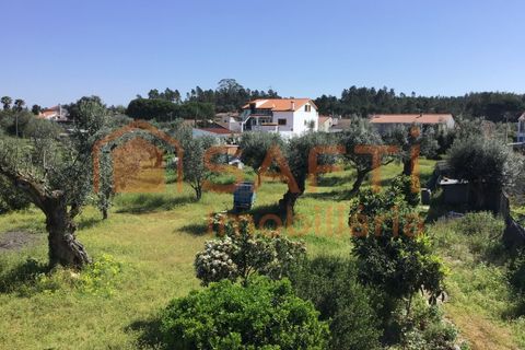Villa i Abrantes, Santarem, Abrantes - € 110.000 | Ref: SAFTI:008045 - foto 3