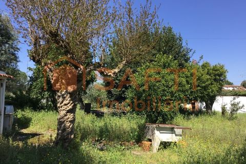 Villa i Abrantes, Santarem, Abrantes - € 110.000 | Ref: SAFTI:008045 - foto 16