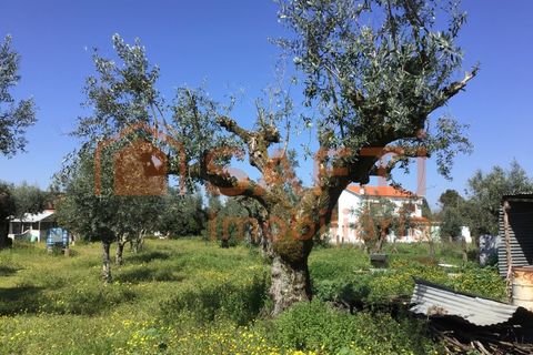 Villa i Abrantes, Santarem, Abrantes - € 110.000 | Ref: SAFTI:008045 - foto 18