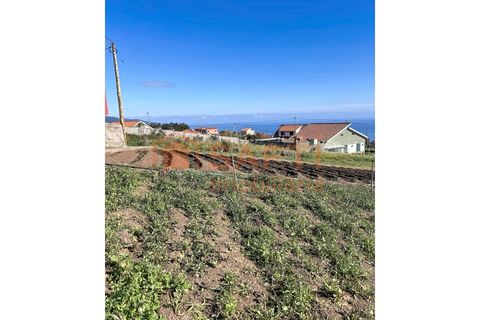 Helårsgrund i Ponta do Sol, Madeira, Ponta do Sol - € 65.000 | Ref: SAFTI:008382 - foto 9