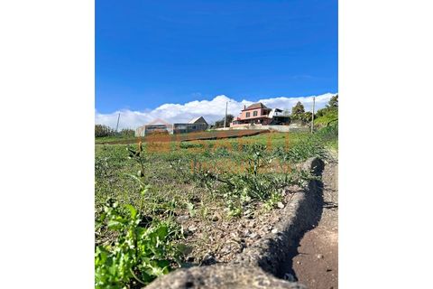 Helårsgrund i Ponta do Sol, Madeira, Ponta do Sol - € 65.000 | Ref: SAFTI:008382 - foto 12