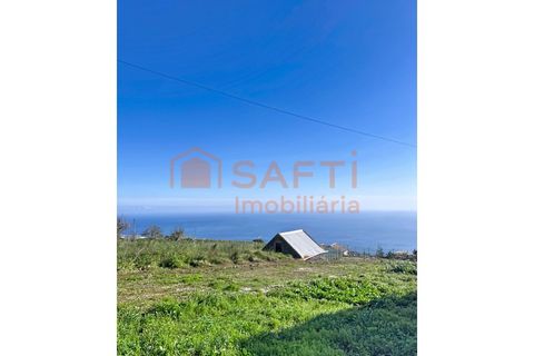 Helårsgrund i Ponta do Sol, Madeira, Ponta do Sol - € 65.000 | Ref: SAFTI:008382 - foto 13