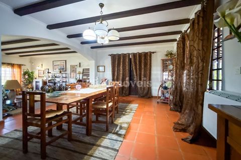 Villa i Abrantes, Santarem, Abrantes - € 380.000 | Ref: 01945-26 - foto 14
