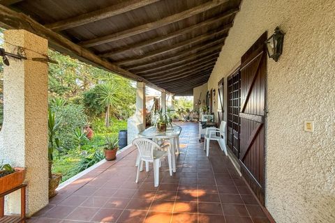 Villa i Abrantes, Santarem, Abrantes - € 380.000 | Ref: 01945-26 - foto 6