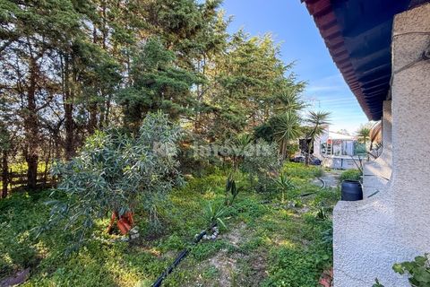 Villa i Abrantes, Santarem, Abrantes - € 380.000 | Ref: 01945-26 - foto 7