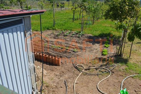Villa a Riachos, Santarem, Riachos - € 450.000 | Ref: SAFTI:008079 - foto 30