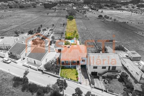 Villa i Riachos, Santarem, Riachos - € 450 000 | Ref: SAFTI:008079 - foto 36