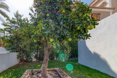 Villa i Mijas Costa, Malaga, Mijas Costa - € 2.395.000 | Ref: BLXR-1290 - foto 30