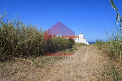 Helårsgrund i Ferrel, Leiria, Ferrel - € 350.000 | Ref: 150260072 - foto 2