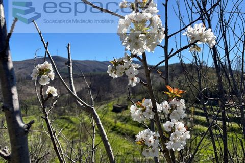 Terra a Fundao, Castelo Branco, Fundao - € 70.000 | Ref: 5777/FA - foto 2
