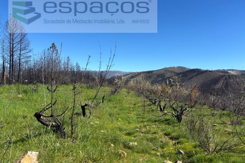 Terra a Fundao, Castelo Branco, Fundao - € 70.000 | Ref: 5777/FA - foto 3