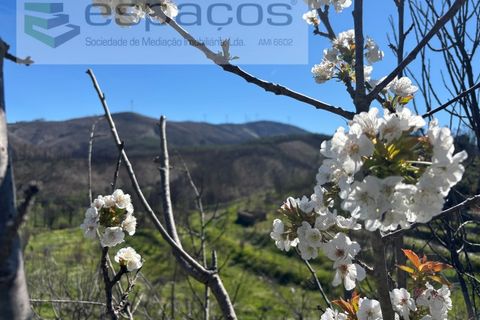 Terra a Fundao, Castelo Branco, Fundao - € 70.000 | Ref: 5777/FA - foto 6