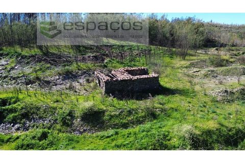 Terra a Fundao, Castelo Branco, Fundao - € 70.000 | Ref: 5777/FA - foto 7