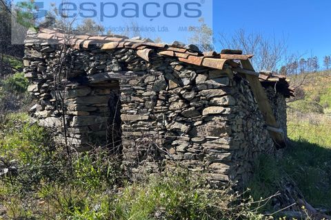 Terra a Fundao, Castelo Branco, Fundao - € 70.000 | Ref: 5777/FA - foto 8