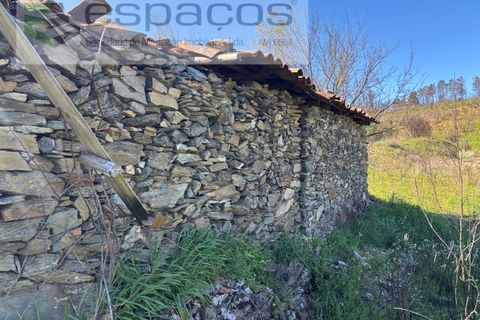 Terra a Fundao, Castelo Branco, Fundao - € 70.000 | Ref: 5777/FA - foto 10