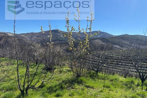 Terra a Fundao, Castelo Branco, Fundao - € 70.000 | Ref: 5777/FA - foto 13