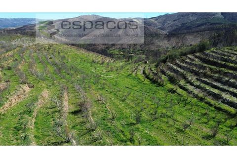 Terra a Fundao, Castelo Branco, Fundao - € 70.000 | Ref: 5777/FA - foto 14