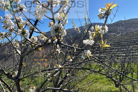 Terra a Fundao, Castelo Branco, Fundao - € 70.000 | Ref: 5777/FA - foto 16