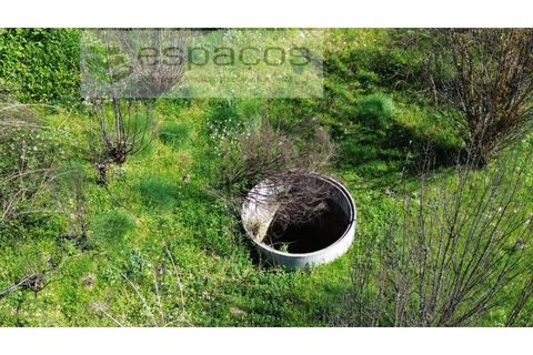 Terra a Fundao, Castelo Branco, Fundao - € 70.000 | Ref: 5777/FA - foto 17