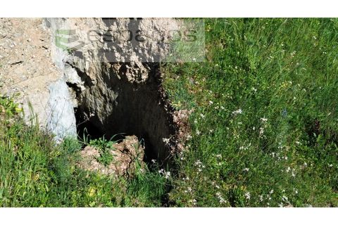 Terra a Fundao, Castelo Branco, Fundao - € 70.000 | Ref: 5777/FA - foto 19