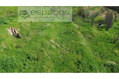 Terra a Fundao, Castelo Branco, Fundao - € 70.000 | Ref: 5777/FA - foto 22