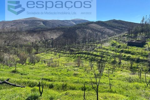 Terra a Fundao, Castelo Branco, Fundao - € 70.000 | Ref: 5777/FA - foto 24