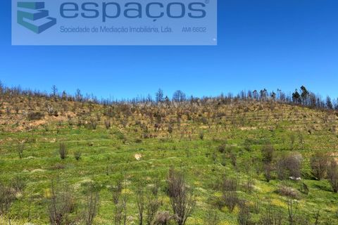 Terra a Fundao, Castelo Branco, Fundao - € 70.000 | Ref: 5777/FA - foto 25