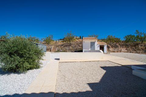 Villa i Pinoso, Alicante, Pinoso - € 349.995 | Ref: 2714 - foto 38