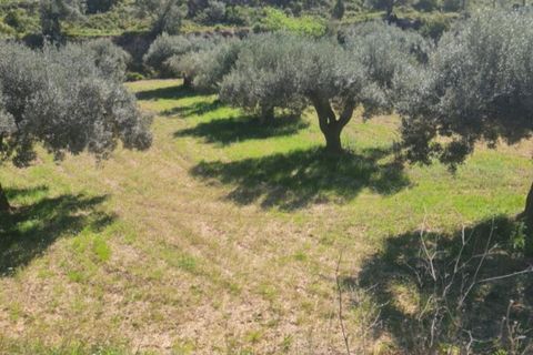 Finca i Mora D'ebre, Tarragona, Mora D'ebre - € 21.000 | Ref: Md7 - foto 6