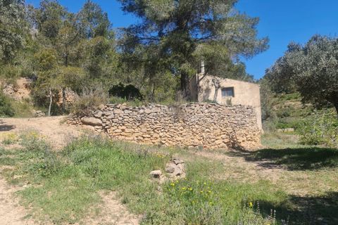 Finca i Mora D'ebre, Tarragona, Mora D'ebre - € 21.000 | Ref: Md7 - foto 7