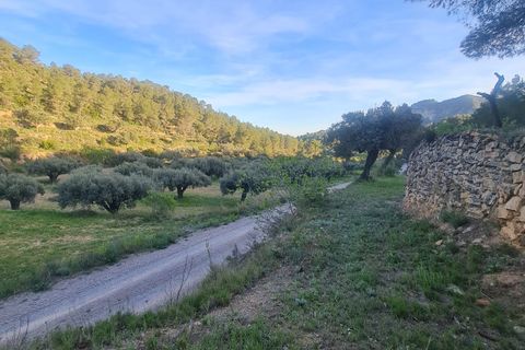Finca i Mora D'ebre, Tarragona, Mora D'ebre - € 21.000 | Ref: Md7 - foto 8