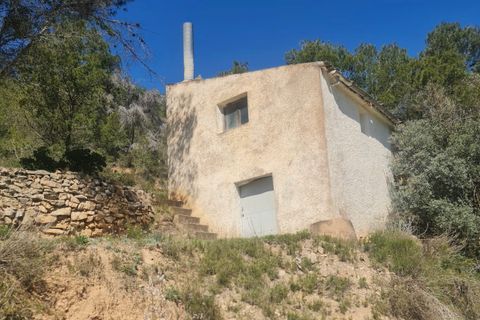 Finca i Mora D'ebre, Tarragona, Mora D'ebre - € 21.000 | Ref: Md7 - foto 15