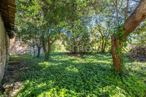 Villa i Guimaraes, Braga, Guimaraes - € 1.250.000 | Ref: ZMPT587204 - foto 19