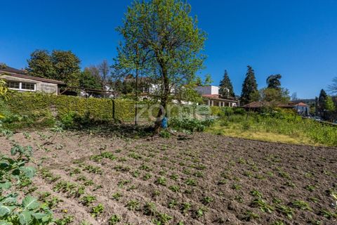 Villa i Guimaraes, Braga, Guimaraes - € 1.250.000 | Ref: ZMPT587204 - foto 20