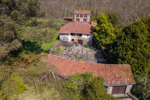 Farm i Paredes, Porto, Paredes - € 450.000 | Ref: ZMPT584918 - foto 26