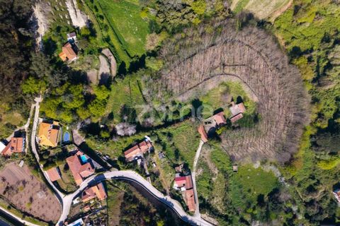 Farm i Paredes, Porto, Paredes - € 450.000 | Ref: ZMPT584918 - foto 2
