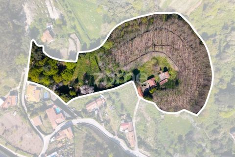 Farm i Paredes, Porto, Paredes - € 450.000 | Ref: ZMPT584918 - foto 3