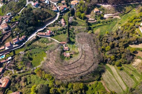 Farm i Paredes, Porto, Paredes - € 450.000 | Ref: ZMPT584918 - foto 4