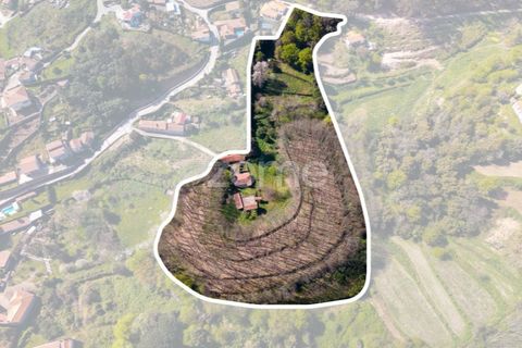Farm i Paredes, Porto, Paredes - € 450.000 | Ref: ZMPT584918 - foto 5