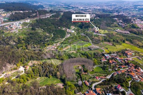 Farm i Paredes, Porto, Paredes - € 450.000 | Ref: ZMPT584918 - foto 6