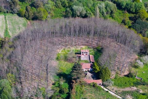 Farm i Paredes, Porto, Paredes - € 450.000 | Ref: ZMPT584918 - foto 7