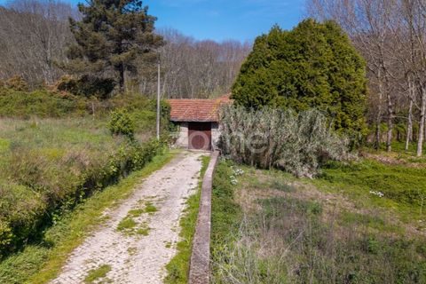 Farm i Paredes, Porto, Paredes - € 450.000 | Ref: ZMPT584918 - foto 10