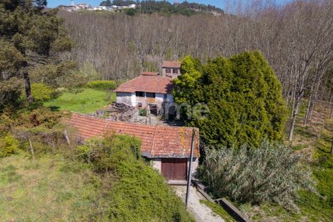 Farm i Paredes, Porto, Paredes - € 450.000 | Ref: ZMPT584918 - foto 11
