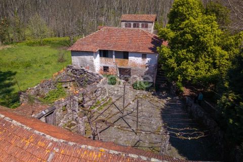 Farm i Paredes, Porto, Paredes - € 450.000 | Ref: ZMPT584918 - foto 12