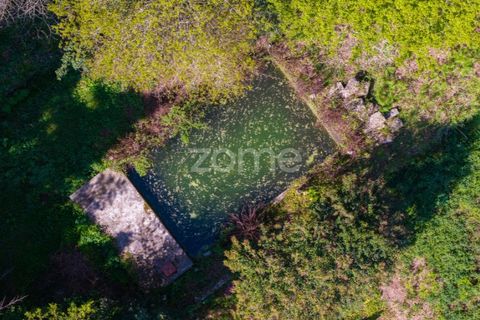 Farm i Paredes, Porto, Paredes - € 450.000 | Ref: ZMPT584918 - foto 14