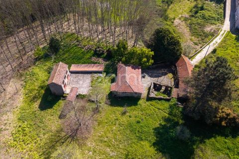Farm i Paredes, Porto, Paredes - € 450.000 | Ref: ZMPT584918 - foto 1