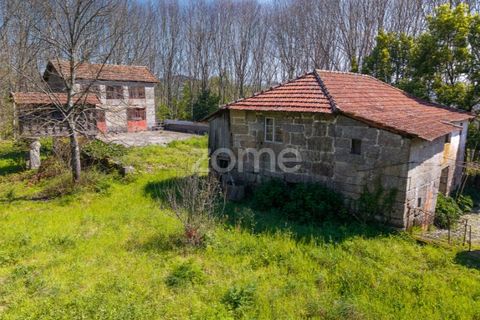 Farm i Paredes, Porto, Paredes - € 450.000 | Ref: ZMPT584918 - foto 16