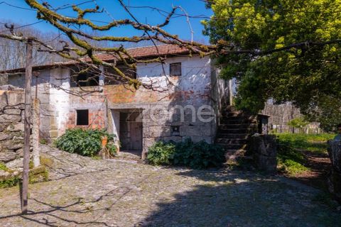 Farm i Paredes, Porto, Paredes - € 450.000 | Ref: ZMPT584918 - foto 17