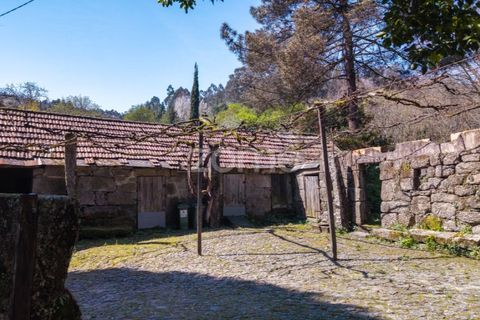 Farm i Paredes, Porto, Paredes - € 450.000 | Ref: ZMPT584918 - foto 18